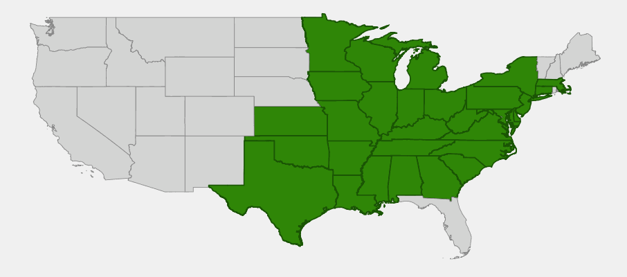 Native range map of Heart-Leaved Golden Alexanders (Zizia aptera) showing distribution across eastern and central North America