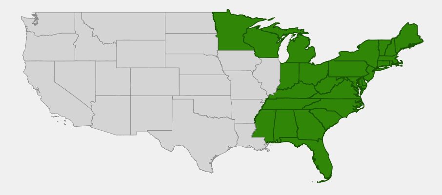 Native range map of Highbush Blueberry (Vaccinium corymbosum) showing distribution across eastern North America