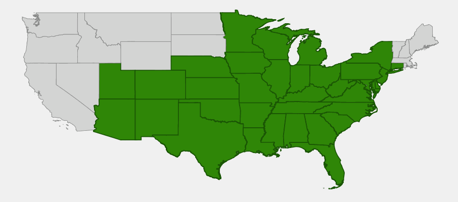 Native range map of Hop Tree (Ptelea trifoliata) showing distribution across much of the central and eastern United States