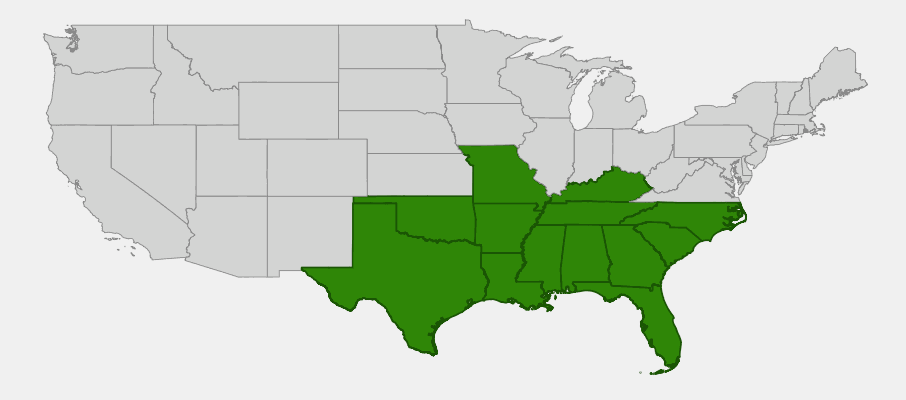 Native range map of Indian Pink (Spigelia marilandica) showing distribution across eastern and south-central US