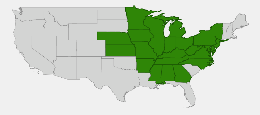 Native range map of Jacob's Ladder (Polemonium reptans) showing distribution across eastern North America