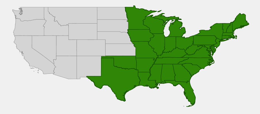 Native range map of Joe-Pye Weed (Eupatorium fistulosum) showing extensive distribution across eastern North America