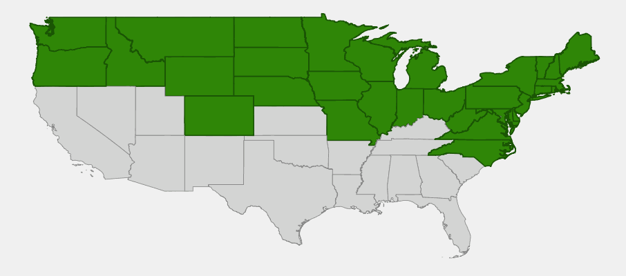 Native range map of Spotted Joe-Pye-Weed (Eupatorium maculatum) showing distribution across northern United States