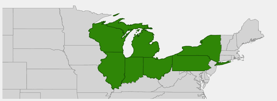 Native range map of Kalm's St. John's Wort (Hypericum kalmianum) showing Great Lakes distribution