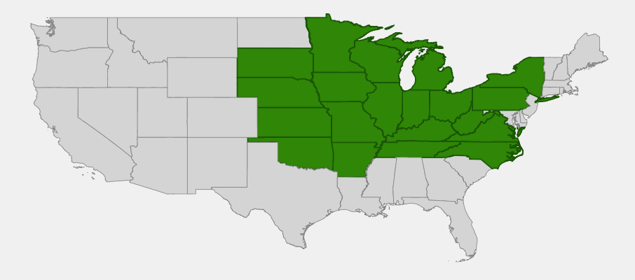 Native range map of Kentucky Coffee Tree (Gymnocladus dioica)