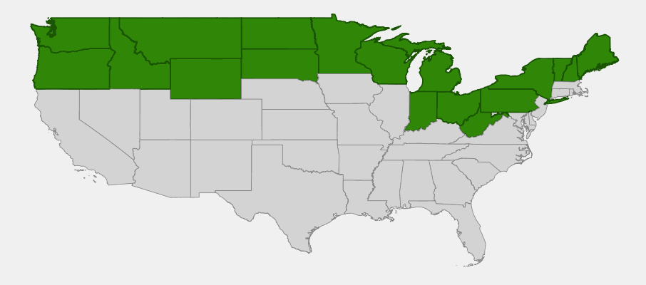 Native range map of Labrador Tea (Ledum groenlandicum) showing distribution across northern US states