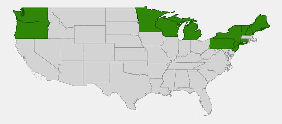 Native range map of Labrador Tea (Ledum groenlandicum) in the United States