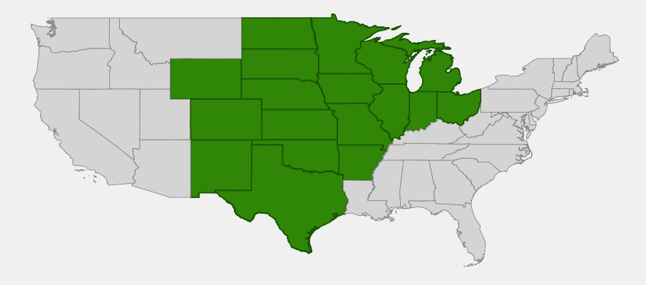 Native range map of Large-flowered Penstemon (Penstemon grandiflorus) showing distribution across the Great Plains