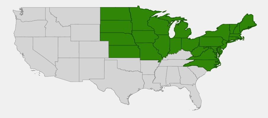 Native range map of Larger Blue Flag Iris (Iris versicolor) showing distribution across northeastern and north-central United States