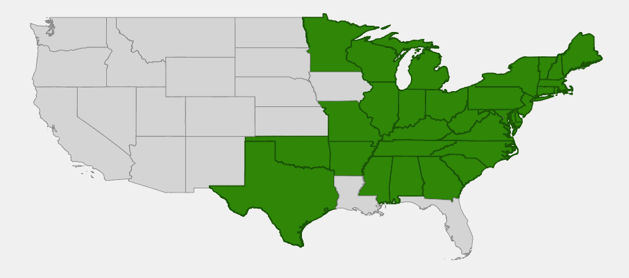 Native range map of Leatherwood Fern (Dryopteris marginalis) showing distribution across eastern North America