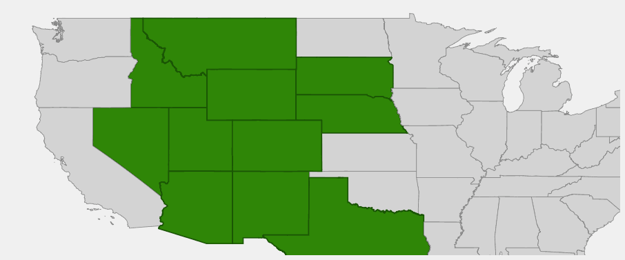 Native range map of Limber Pine (Pinus flexilis)