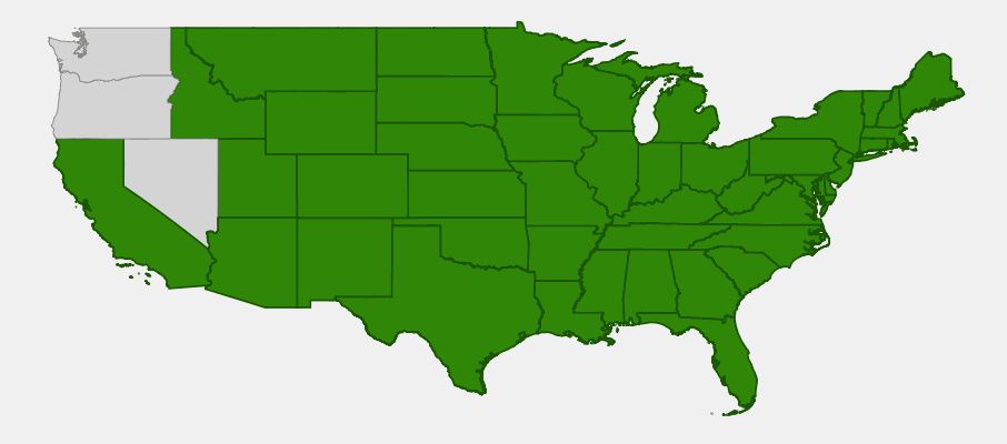Native range map of Little Bluestem (Schizachyrium scoparium) showing distribution across most of the United States