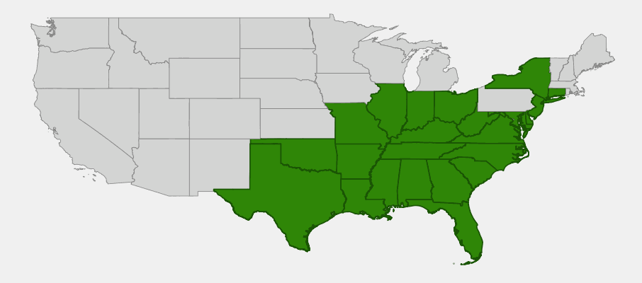Native range map of Lizard's Tail (Saururus cernuus) showing eastern and central United States distribution