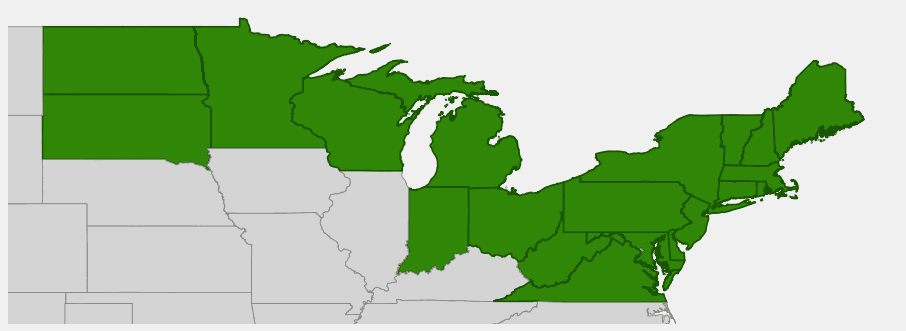 Native range map of Lowbush Blueberry (Vaccinium angustifolium) showing distribution across northeastern US