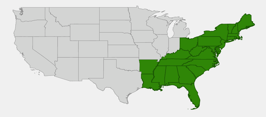 Native range map of Maleberry (Lyonia ligustrina) showing eastern US distribution