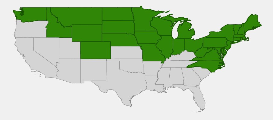 Native range map of Marsh Marigold (Caltha palustris) showing distribution across northern United States