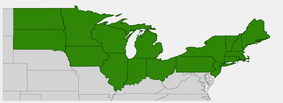Native range map of May Lily (Maianthemum canadense) showing northern US distribution