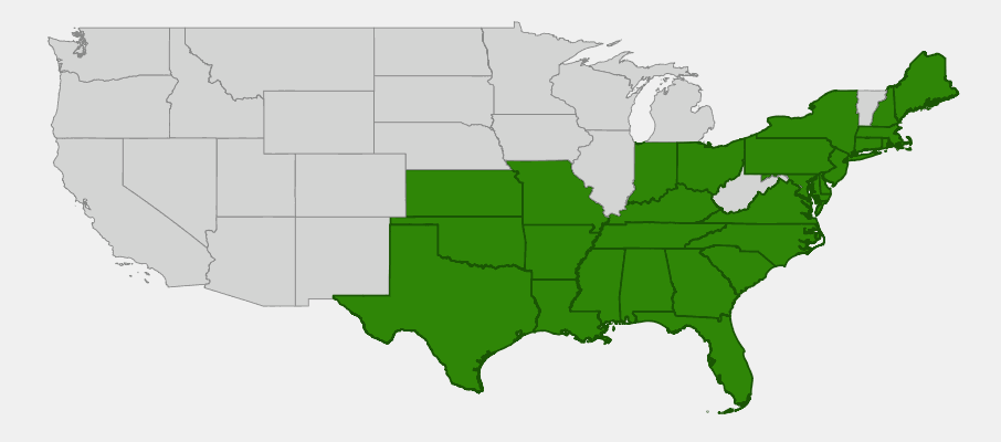 Native range map of Meadow Beauty (Rhexia virginica) showing distribution across eastern United States