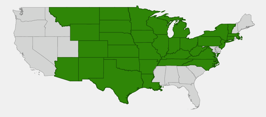 Native range map of Tall Meadow Rue (Thalictrum dasycarpum) showing distribution across central and eastern United States