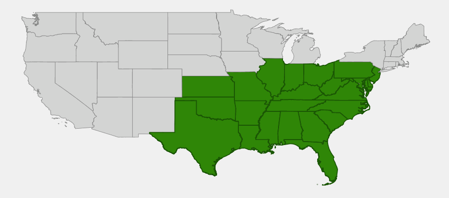 Native range map of Mist Flower (Conoclinium coelestinum) showing distribution across eastern and central United States