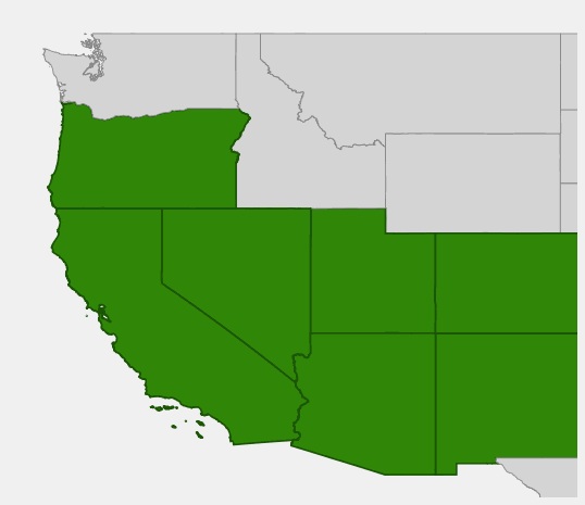 Native range map of Mormon Tea (Ephedra viridis) in the American Southwest