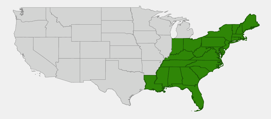 Native range map of Mountain Laurel (Kalmia latifolia) showing distribution across eastern United States