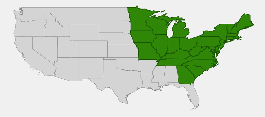 Native range map of New York Aster (Symphyotrichum novi-belgii) showing northeastern United States distribution