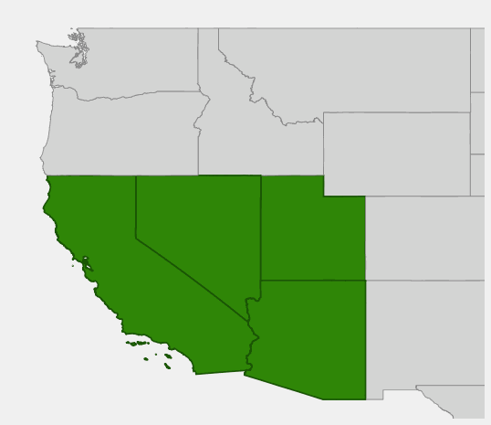 Native range map of Bigelow Nolina (Nolina bigelovii) showing distribution in Arizona, California, Nevada, and Utah