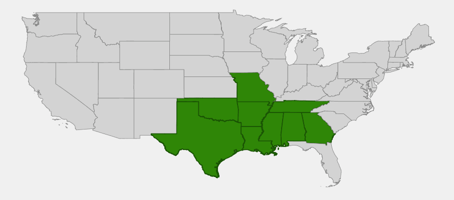 Native range map of Nuttall Oak (Quercus nuttallii) showing distribution across south-central US bottomlands