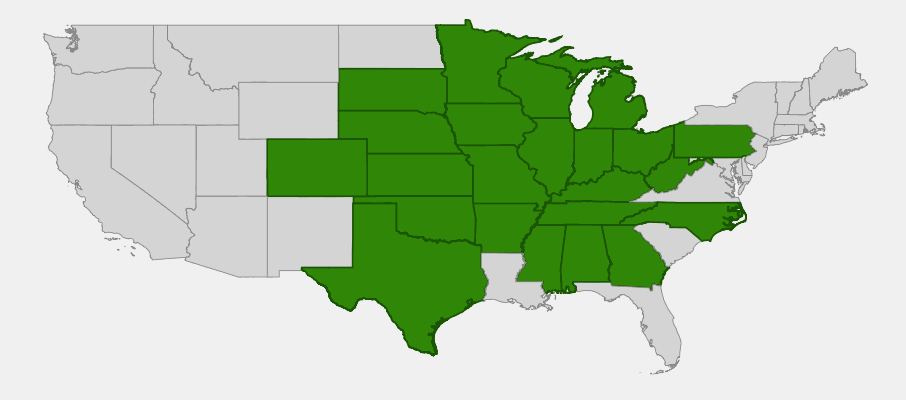 Native range map of Ohio Buckeye (Aesculus glabra) showing distribution across central United States
