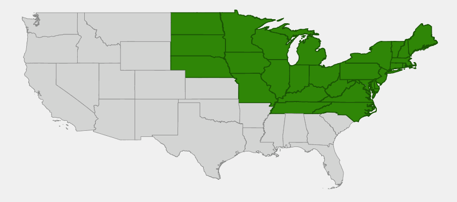 Native range map of Ostrich Fern (Matteuccia struthiopteris) showing distribution across northeastern and north-central United States