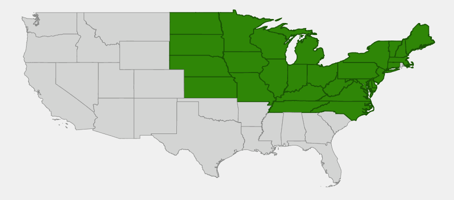 Native range map of Pennsylvania Sedge (Carex pensylvanica)