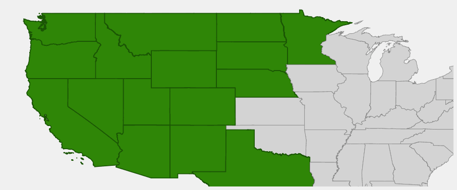 Native range map showing Pacific Willow distribution across western North America from Alaska to New Mexico