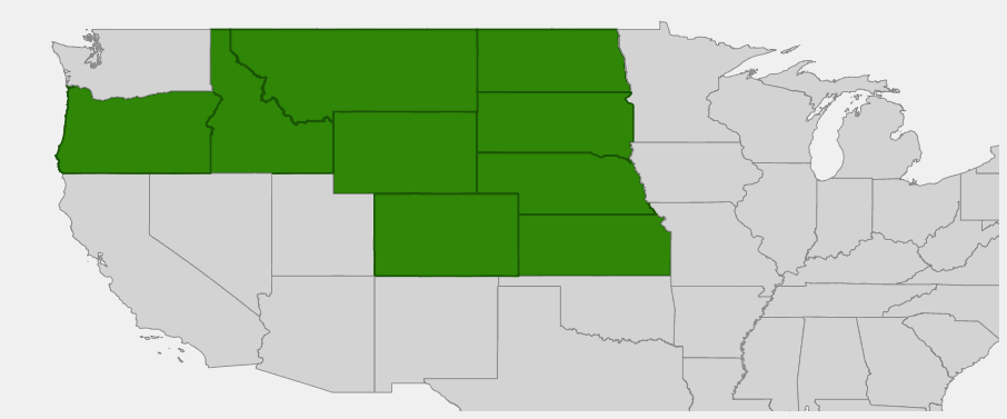 Native range map of Pagoda Penstemon (Penstemon angustifolius) across Great Plains and Intermountain West
