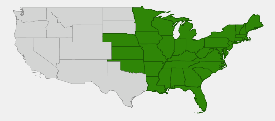 Native range map of Pale-leaved Sunflower (Helianthus strumosus) showing distribution across eastern and central United States