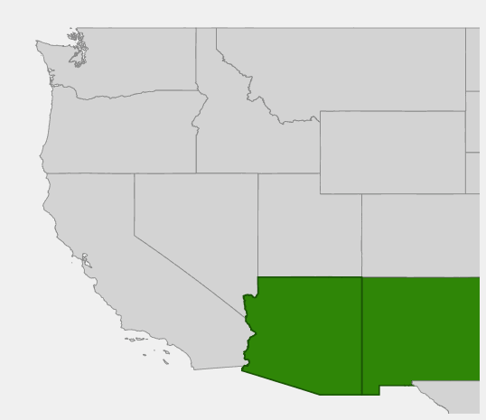 Native range map of Palmer Agave (Agave palmeri)