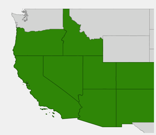 Native range map of Palmer Penstemon (Penstemon palmeri)