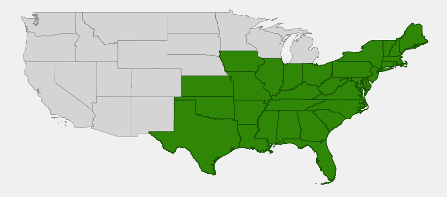Native range map of American Persimmon (Diospyros virginiana) showing broad distribution across eastern and central United States