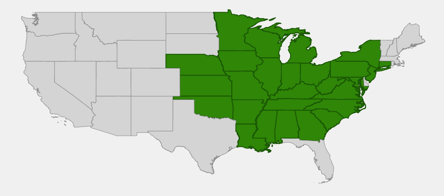 Native range map of Summer Phlox (Phlox paniculata)