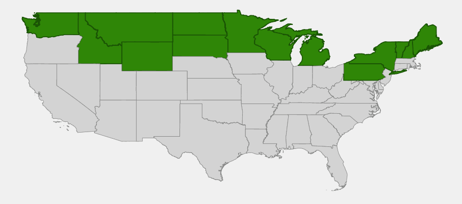 Native range map of Jack Pine (Pinus banksiana) showing distribution across northeastern and north-central United States and Canada