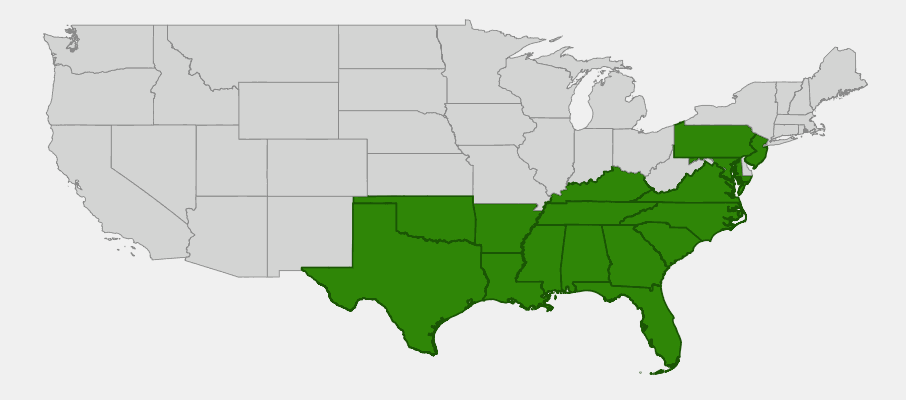 Native range map of Piedmont Azalea (Rhododendron canescens) showing distribution across southeastern United States