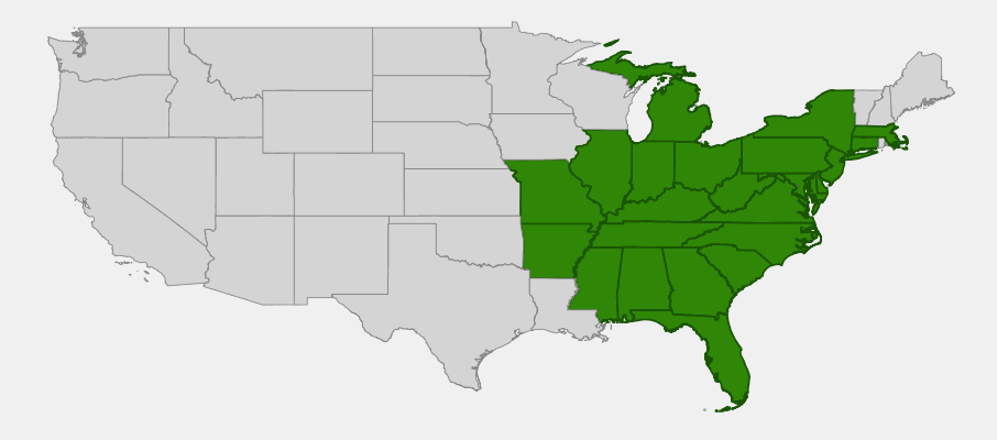 Native range map of Pignut Hickory (Carya glabra) showing distribution across eastern United States
