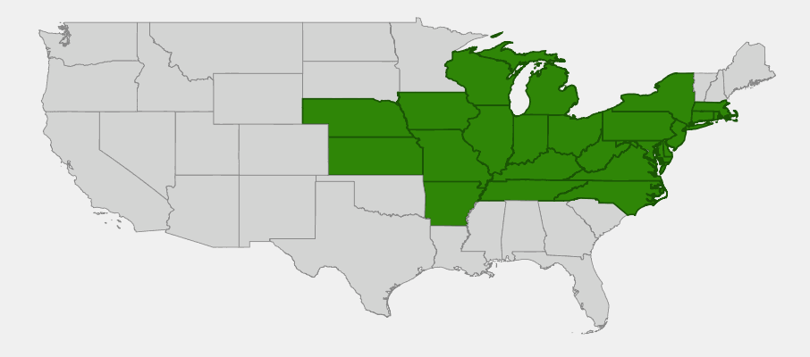 Native range map of Pin Oak (Quercus palustris) across the eastern and central United States