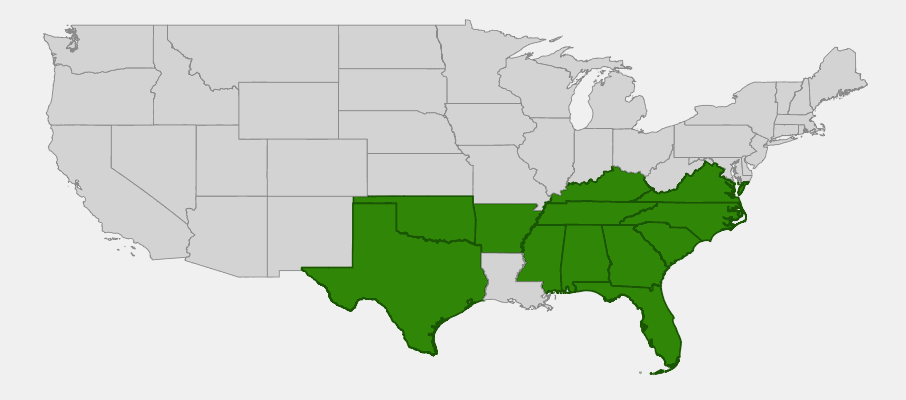 Native range map of Golden Aster (Pityopsis graminifolia)