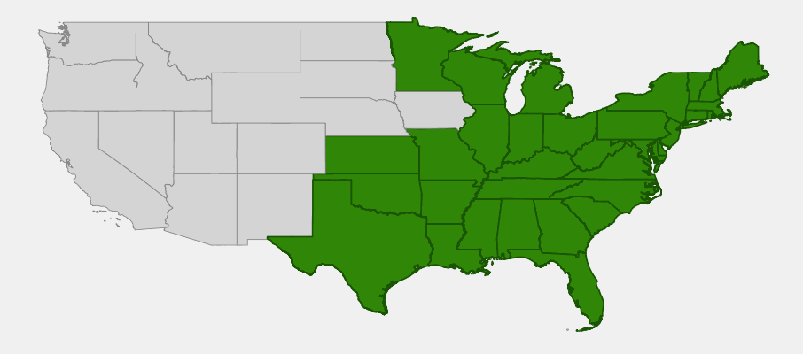 Native range map of Christmas Fern (Polystichum acrostichoides)