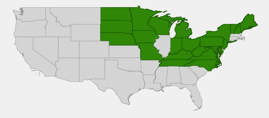 Native range map of Large-tooth Aspen (Populus grandidentata) showing distribution across eastern United States and Canada