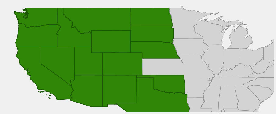 Native range map of Ponderosa Pine (Pinus ponderosa) showing distribution across western North America
