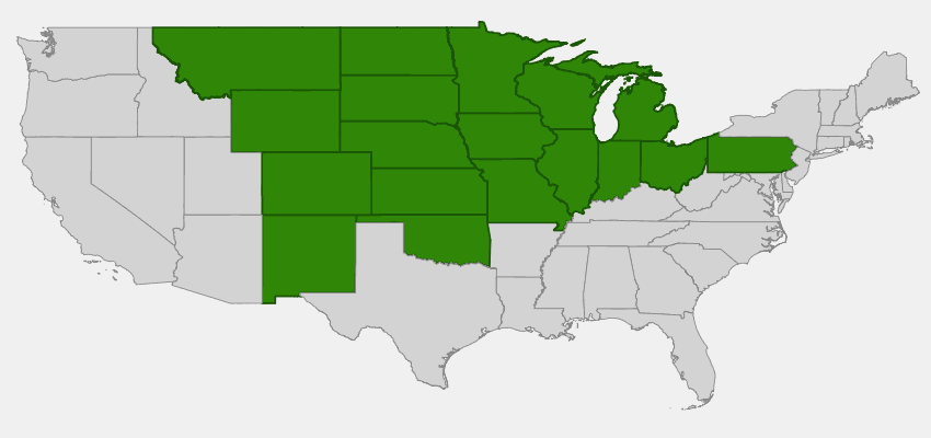 Porcupine Grass Native Range Map