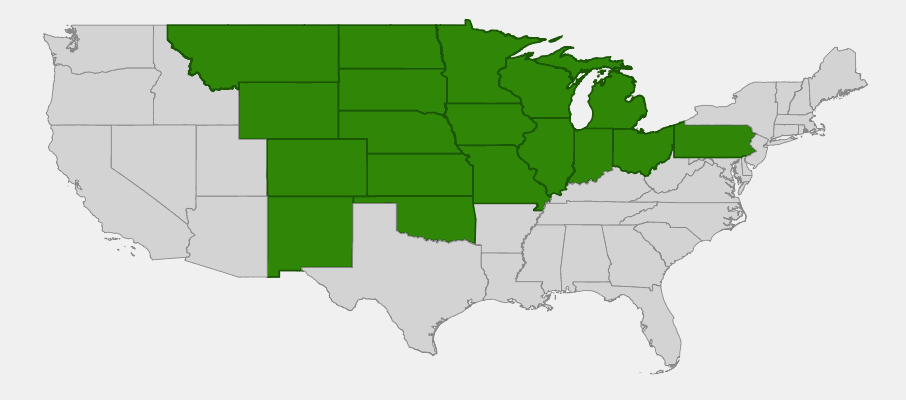 Native range map of Porcupine Grass (Stipa spartea) showing distribution across the Great Plains