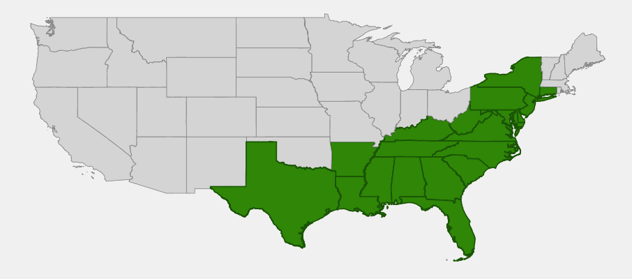Native range map of Possumhaw Viburnum (Viburnum nudum) showing distribution in eastern United States
